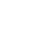 Buffalo White